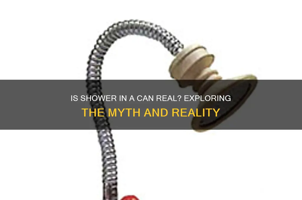 is shower in a can real