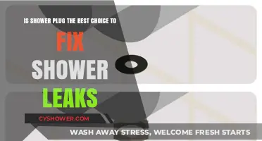 Shower Plug: Effective Leak Fix or Temporary Solution?