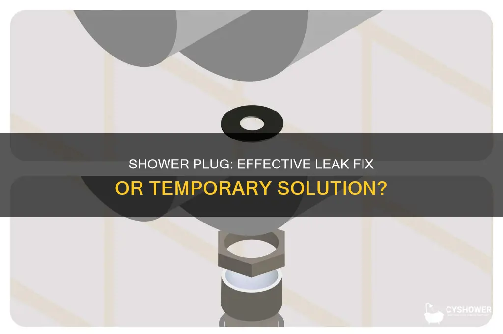 is shower plug the best choice to fix shower leaks