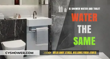 Shower vs. Toilet Water: Are They the Same Source?