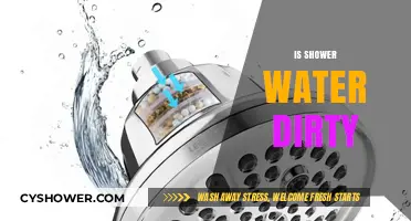 Is Your Shower Water Dirty? Uncovering the Truth Behind Tap Water