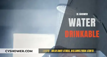Is Shower Water Safe to Drink? Exploring the Risks and Facts