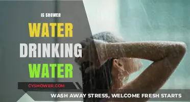 Is Shower Water Safe to Drink? Exploring the Risks and Facts
