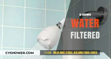 Is Your Shower Water Filtered? What You Need to Know