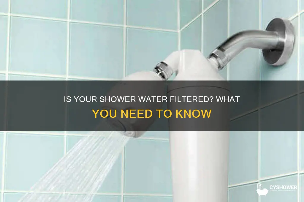 is shower water filtered