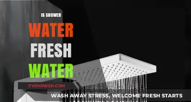 Is Shower Water Fresh? Understanding Your Home's Water Supply