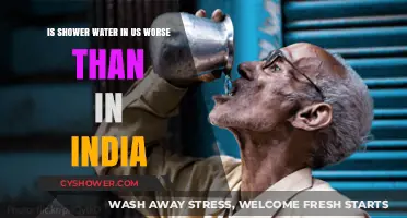 Comparing US and India Shower Water Quality: Which is Worse?