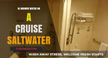 Is Cruise Ship Shower Water Saltwater? Unraveling the Mystery