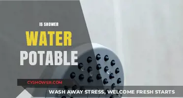 Is Shower Water Safe to Drink? Exploring Potability and Risks