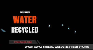 Is Shower Water Recycled? Exploring Greywater Reuse and Sustainability