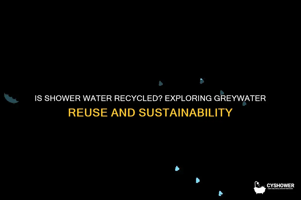 is shower water recycled