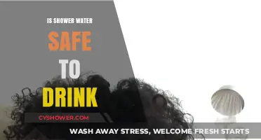Is Shower Water Safe to Drink? Risks and Alternatives Explained