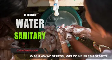 Is Your Shower Water Safe? Uncovering the Truth About Sanitation