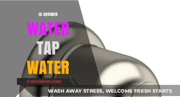 Is Shower Water Tap Water? Exploring the Source and Quality