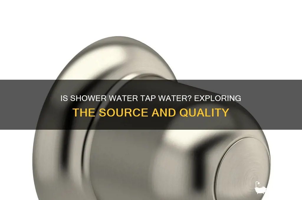 is shower water tap water