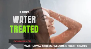 Is Your Shower Water Treated? Understanding Home Water Treatment