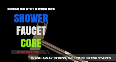 Removing Moen Shower Faucet Core: Special Tools Required or Not?
