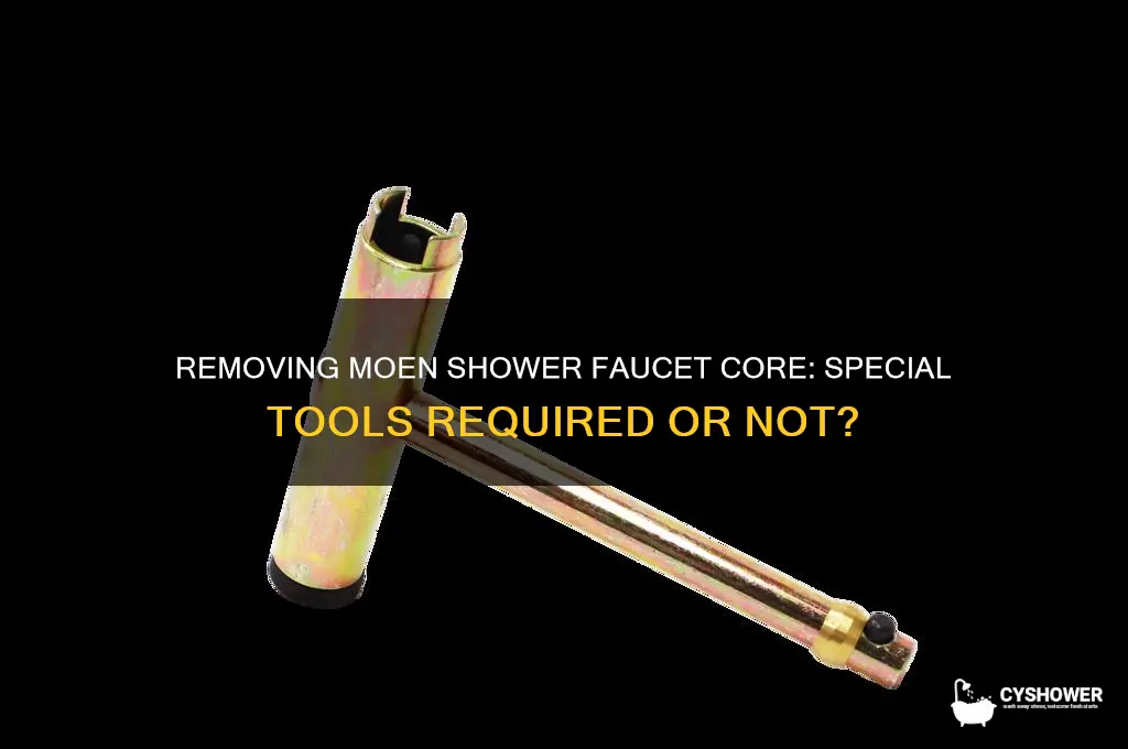 is special tool needed to remove moen shower faucet core