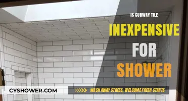 Is Subway Tile a Budget-Friendly Choice for Shower Renovations?