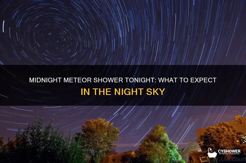 is tgere a meteor shower tonight at midnight