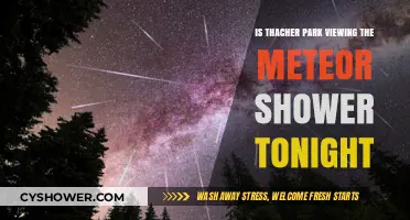 Thacher Park Meteor Shower Viewing Tonight: What to Expect