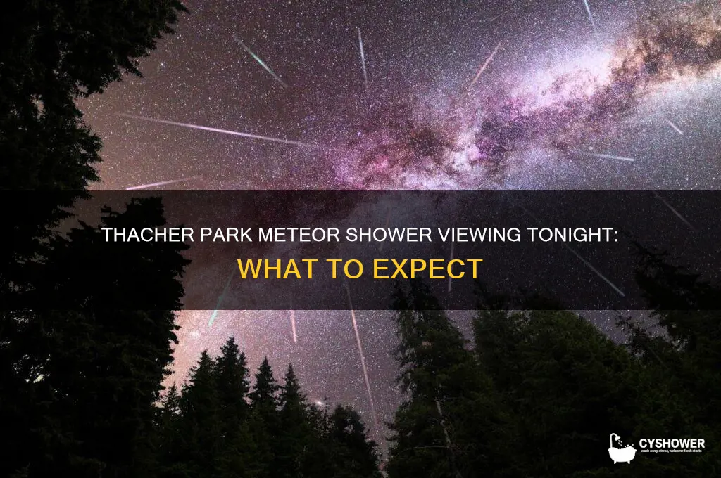 is thacher park viewing the meteor shower tonight