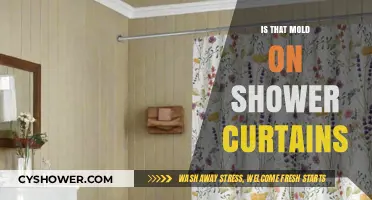 Is That Mold on Your Shower Curtain? Prevention and Cleaning Tips