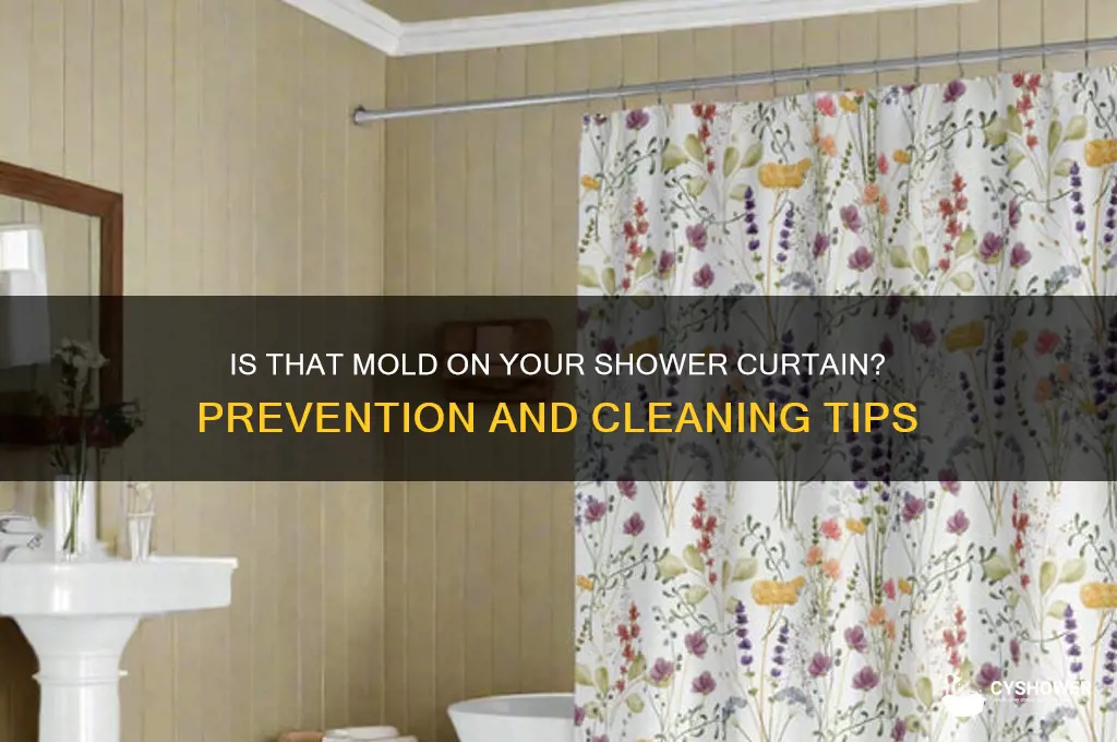 is that mold on shower curtains