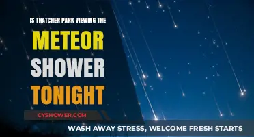 Thatcher Park Meteor Shower Viewing Tonight: What You Need to Know