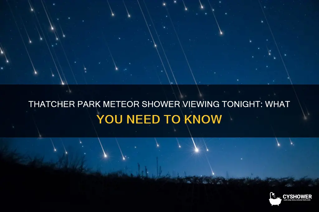 is thatcher park viewing the meteor shower tonight