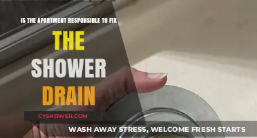 Who Fixes the Shower Drain: Tenant or Apartment Responsibility?