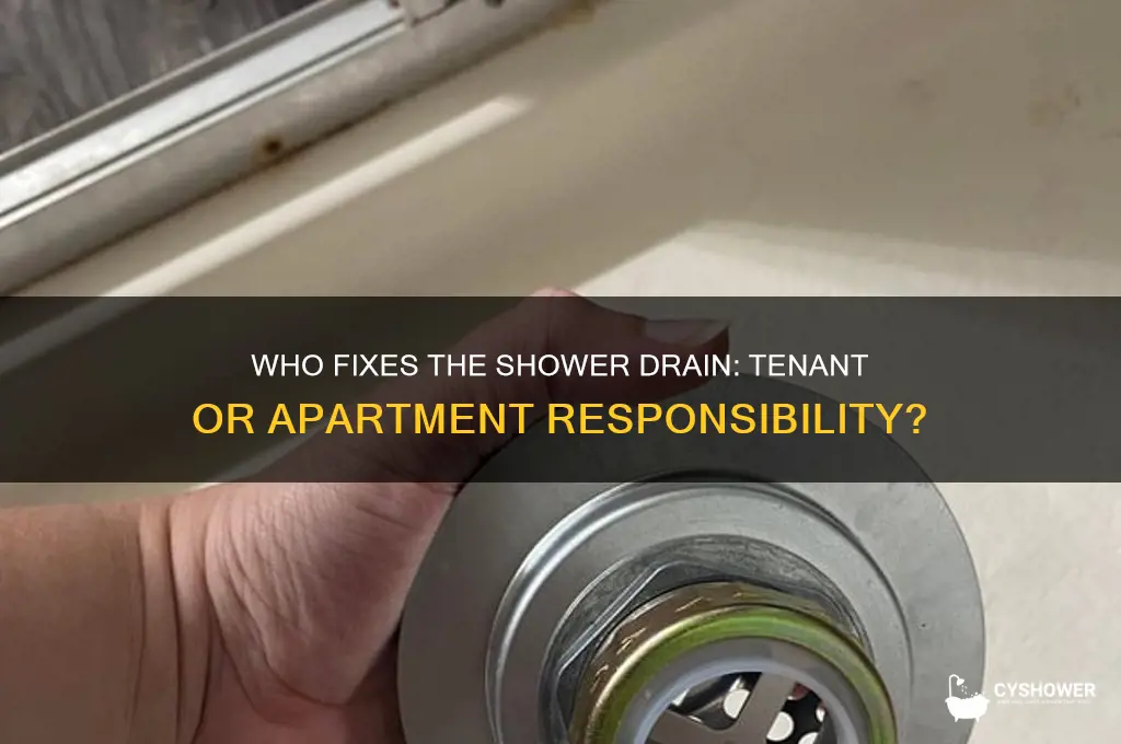 is the apartment responsible to fix the shower drain