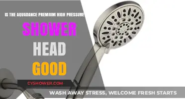 Aquadance Premium High Pressure Dual Shower Head: A Worthy Upgrade?
