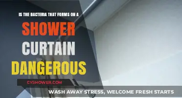 Shower Curtain Bacteria: Is It Harmful to Your Health?