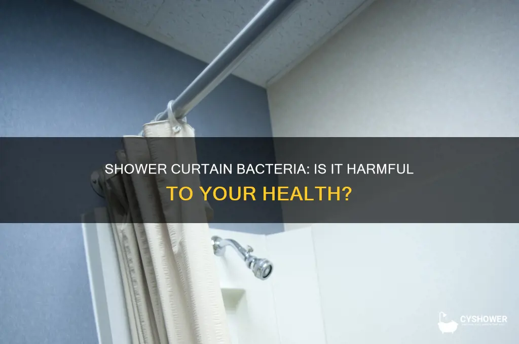 is the bacteria that forms on a shower curtain dangerous