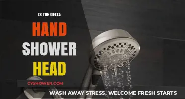Delta Hand Shower Head: A Comprehensive Review and Buying Guide