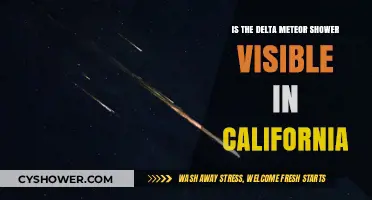 Delta Meteor Shower Visibility in California: What to Expect
