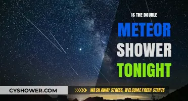 Double Meteor Shower Tonight: What to Expect in the Night Sky