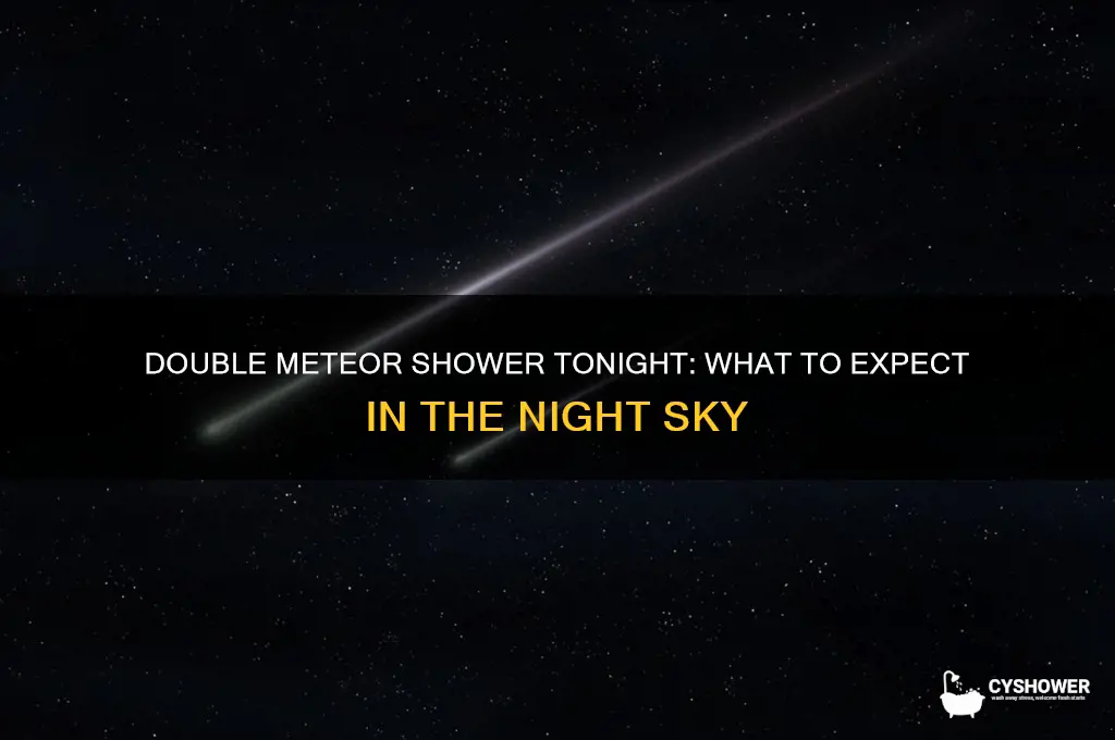is the double meteor shower tonight