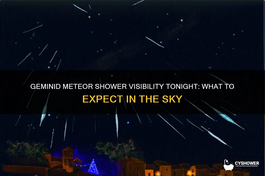 is the geminid meteor shower visible tonight
