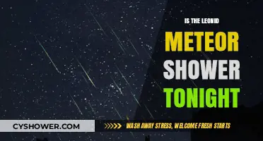 Leonid Meteor Shower Tonight: What to Expect and How to Watch