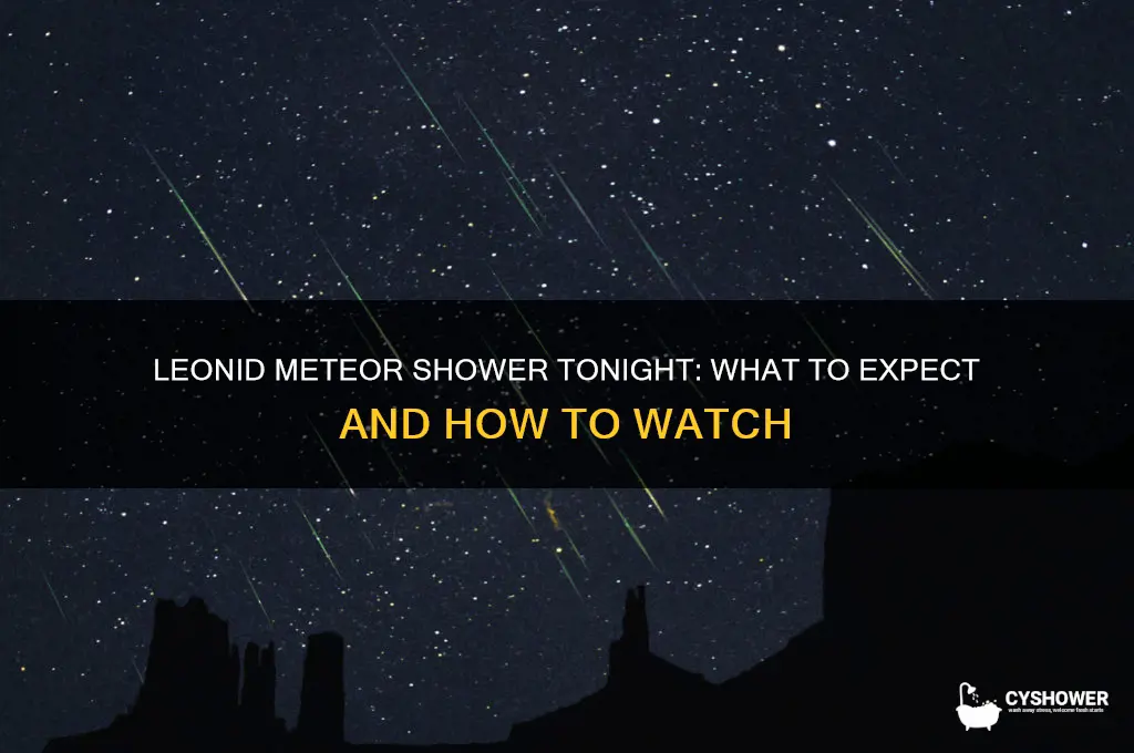is the leonid meteor shower tonight