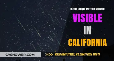Leonid Meteor Shower Visibility in California: What to Expect