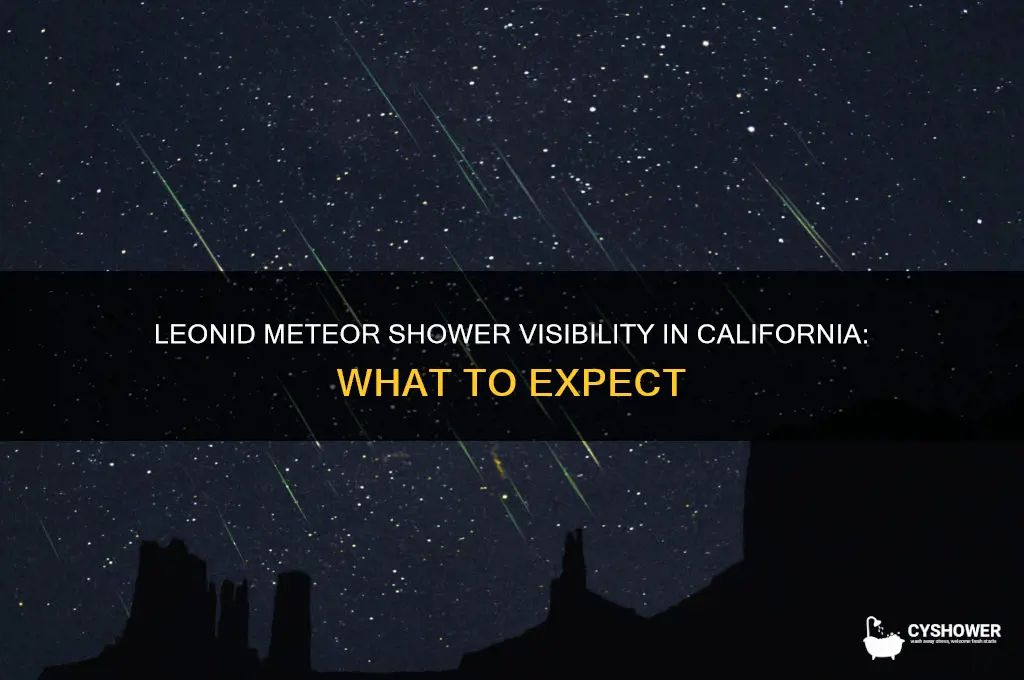is the leonid meteor shower visible in california