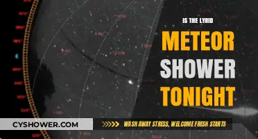 Lyrid Meteor Shower Tonight: When and Where to Watch