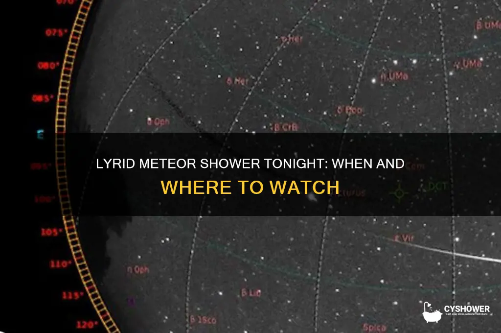 is the lyrid meteor shower tonight