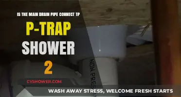 Main Drain Pipe Connection to Shower P-Trap: What You Need to Know