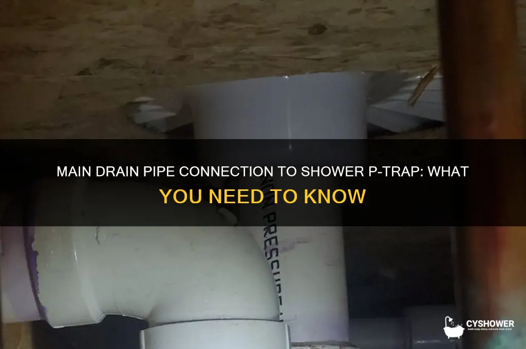 is the main drain pipe connect tp p-trap shower 2