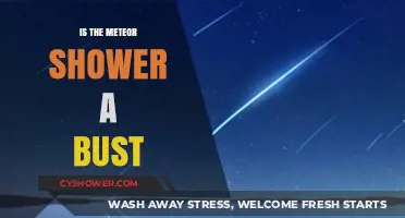 Meteor Shower Disappointment: Was the Celestial Show a Bust?