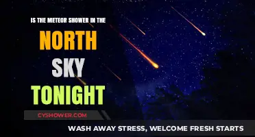 North Sky Meteor Shower Tonight: What to Expect and How to Watch